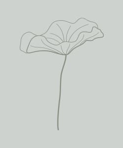 Line drawing of a leaf - affirmations icon